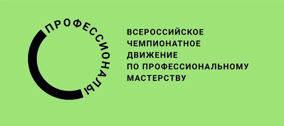 Итоги чемпионата «ПРОФЕССИОНАЛЫ» Итоги чемпионата «ПРОФЕССИОНАЛЫ».